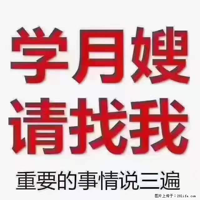 为什么要学习月嫂,育婴师? - 其他广告 - 广告专区 - 克孜勒苏分类信息 - 克孜勒苏28生活网 kzls.28life.com