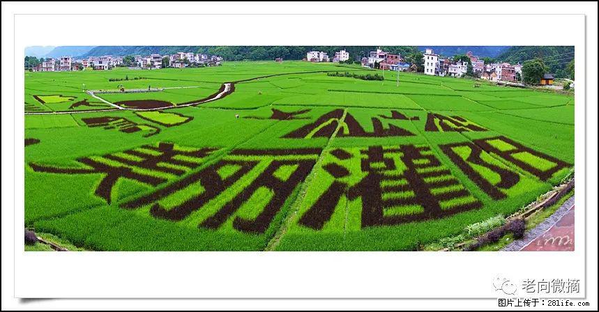 【春天,广西桂林灌阳县向您发出邀请!】开篇 - 游山玩水 - 克孜勒苏生活社区 - 克孜勒苏28生活网 kzls.28life.com