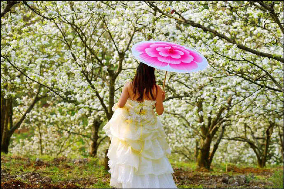 【春天,广西桂林灌阳县向您发出邀请!】我们在灌阳看梨花 - 游山玩水 - 克孜勒苏生活社区 - 克孜勒苏28生活网 kzls.28life.com