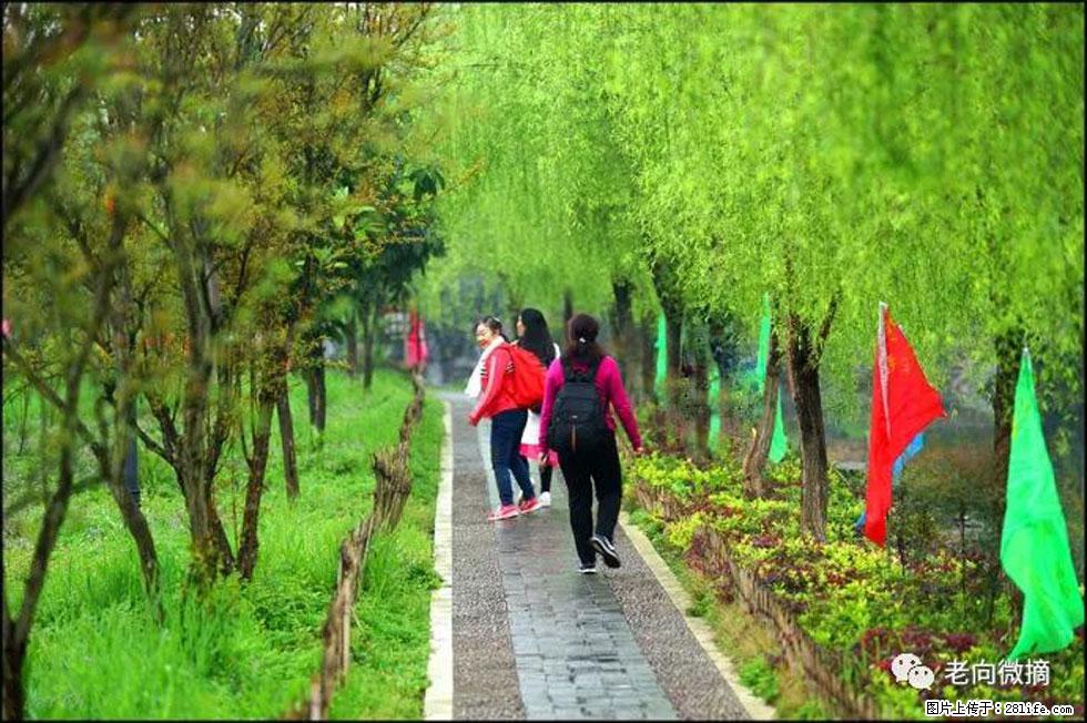 【春天,广西桂林灌阳县向您发出邀请!】江口老街又逢春 - 游山玩水 - 克孜勒苏生活社区 - 克孜勒苏28生活网 kzls.28life.com