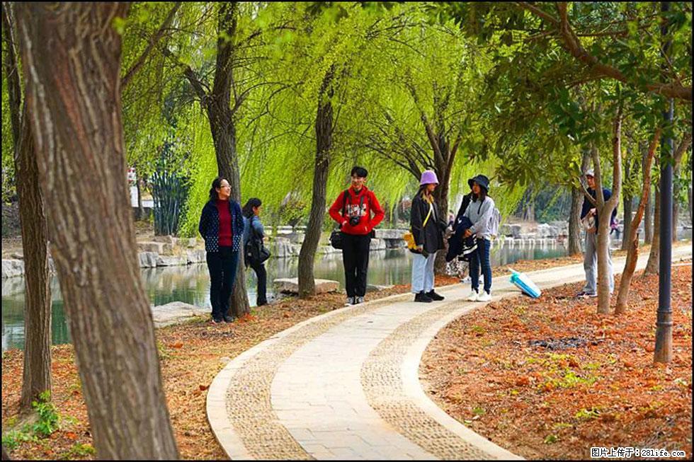 【春天,广西桂林灌阳县向您发出邀请!】江口老街又逢春 - 游山玩水 - 克孜勒苏生活社区 - 克孜勒苏28生活网 kzls.28life.com