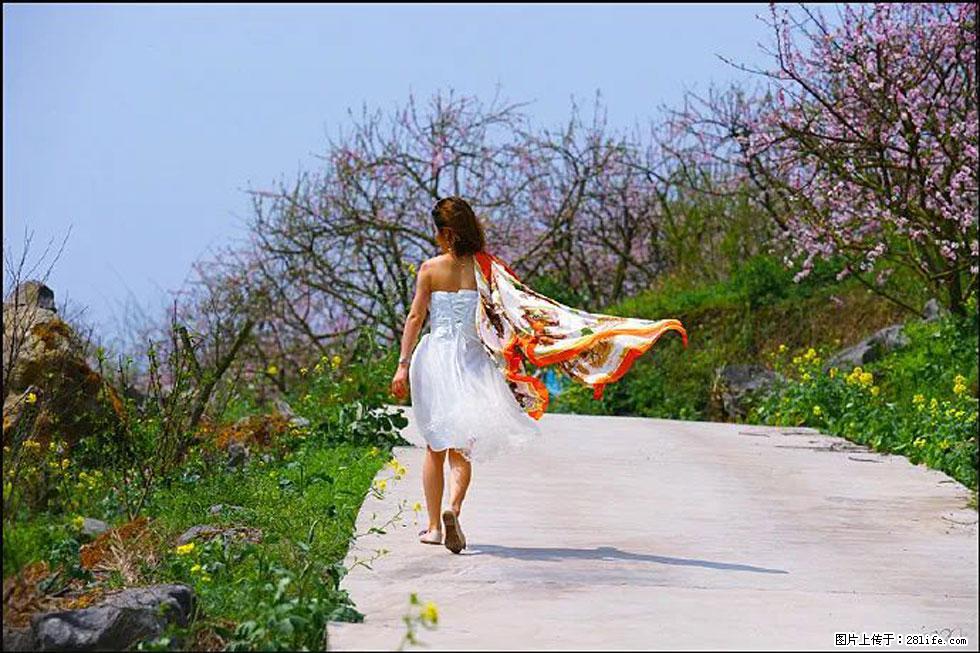 【春天,广西桂林灌阳县向您发出邀请!】望月岭上桃花开 - 游山玩水 - 克孜勒苏生活社区 - 克孜勒苏28生活网 kzls.28life.com