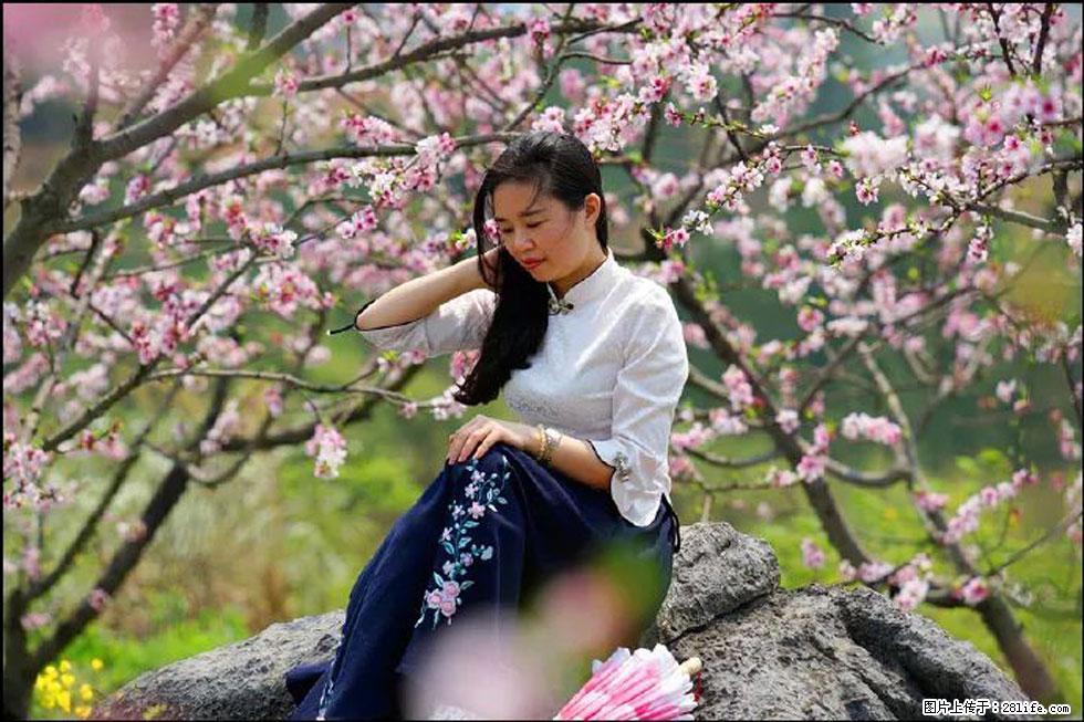 【春天,广西桂林灌阳县向您发出邀请!】望月岭上桃花开 - 游山玩水 - 克孜勒苏生活社区 - 克孜勒苏28生活网 kzls.28life.com