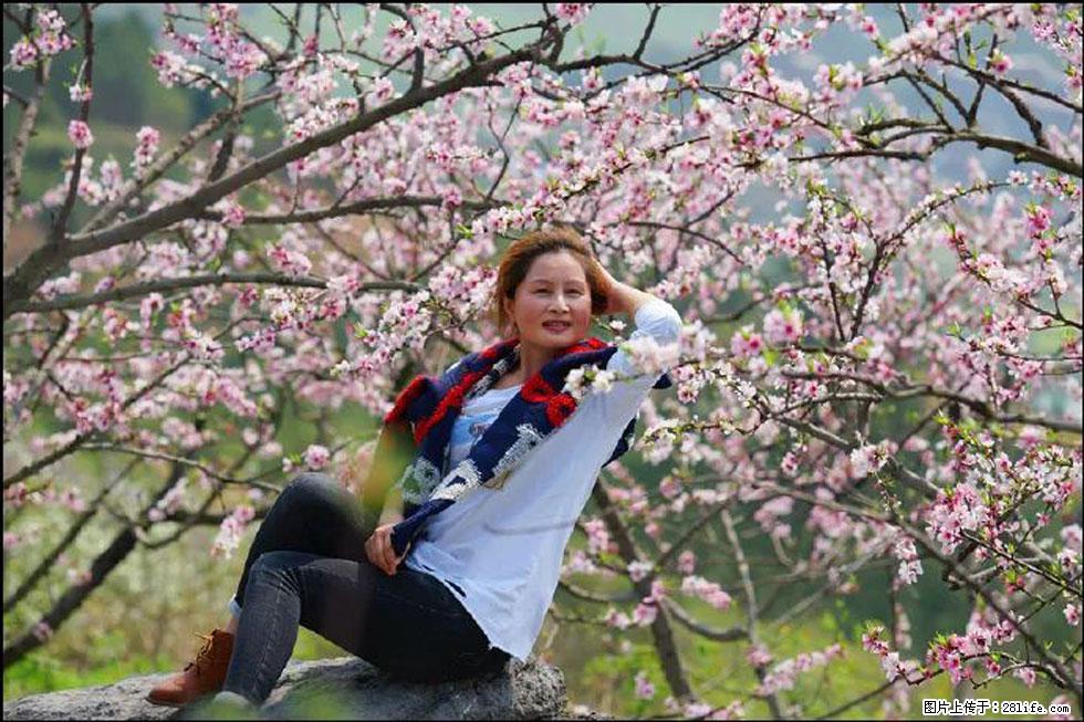 【春天,广西桂林灌阳县向您发出邀请!】望月岭上桃花开 - 游山玩水 - 克孜勒苏生活社区 - 克孜勒苏28生活网 kzls.28life.com