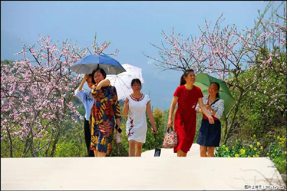 【春天,广西桂林灌阳县向您发出邀请!】望月岭上桃花开 - 游山玩水 - 克孜勒苏生活社区 - 克孜勒苏28生活网 kzls.28life.com