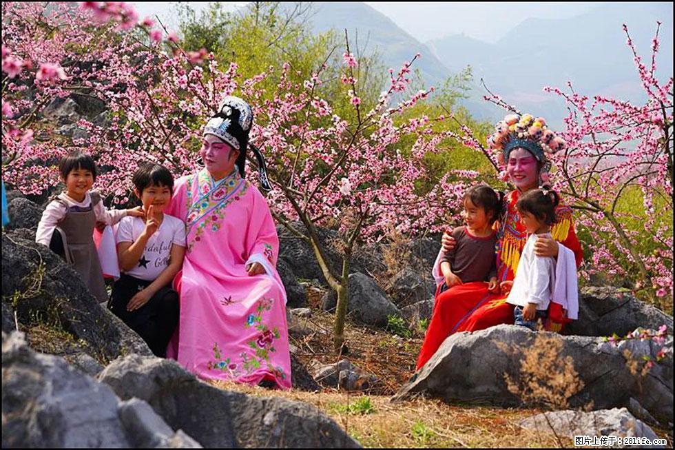 【春天,广西桂林灌阳县向您发出邀请!】望月岭上桃花开 - 游山玩水 - 克孜勒苏生活社区 - 克孜勒苏28生活网 kzls.28life.com