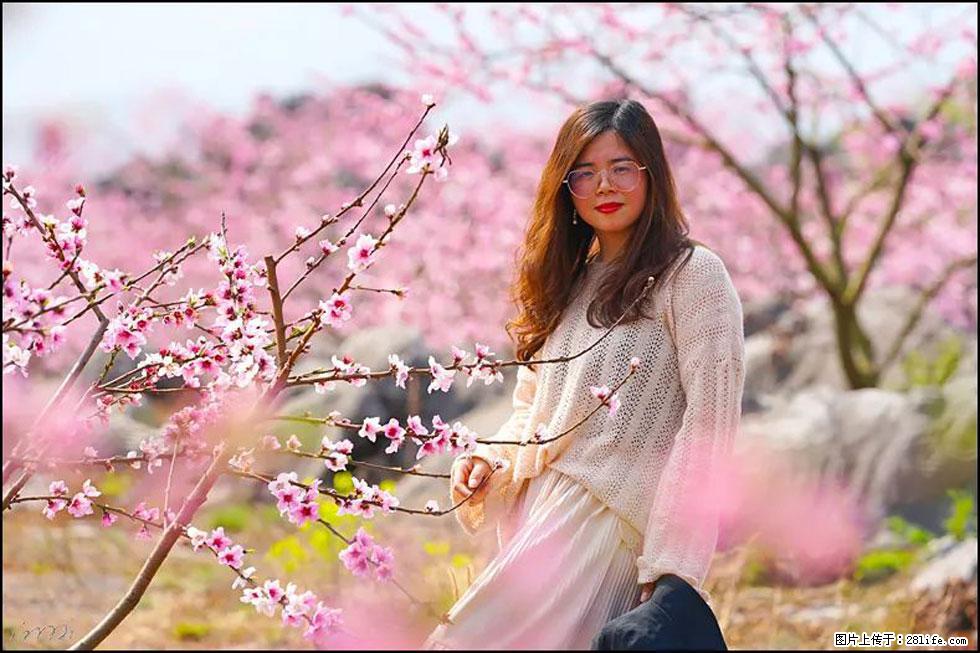 【春天,广西桂林灌阳县向您发出邀请!】望月岭上桃花开 - 游山玩水 - 克孜勒苏生活社区 - 克孜勒苏28生活网 kzls.28life.com