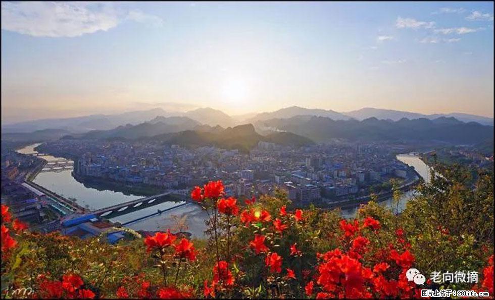【春天，广西桂林灌阳县向您发出邀请！】登麒麟山，相约映山红 - 游山玩水 - 克孜勒苏生活社区 - 克孜勒苏28生活网 kzls.28life.com