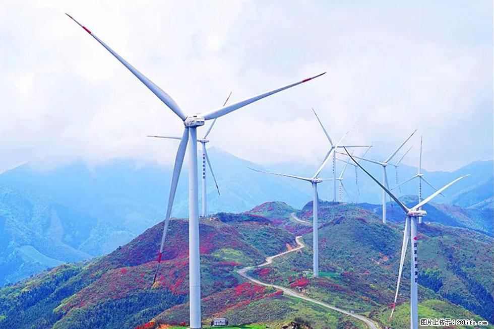 【春天,广西桂林灌阳县向您发出邀请!】春木界上映山红 - 游山玩水 - 克孜勒苏生活社区 - 克孜勒苏28生活网 kzls.28life.com