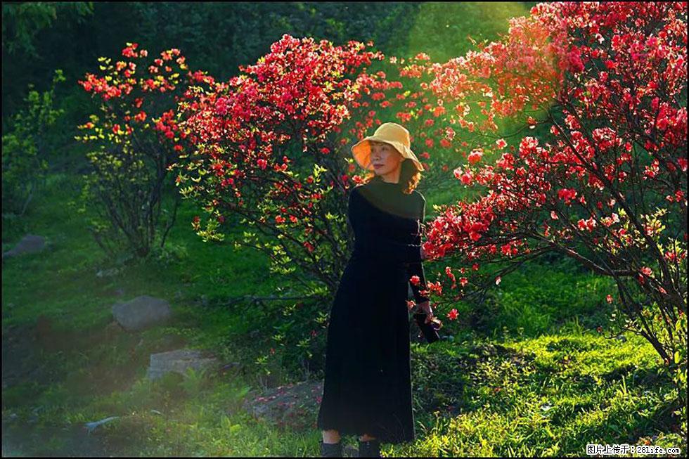 【春天,广西桂林灌阳县向您发出邀请!】春木界上映山红 - 游山玩水 - 克孜勒苏生活社区 - 克孜勒苏28生活网 kzls.28life.com