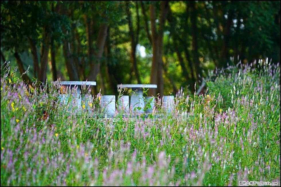 【春天,广西桂林灌阳县向您发出邀请!】熊家寨湿地公园 - 游山玩水 - 克孜勒苏生活社区 - 克孜勒苏28生活网 kzls.28life.com