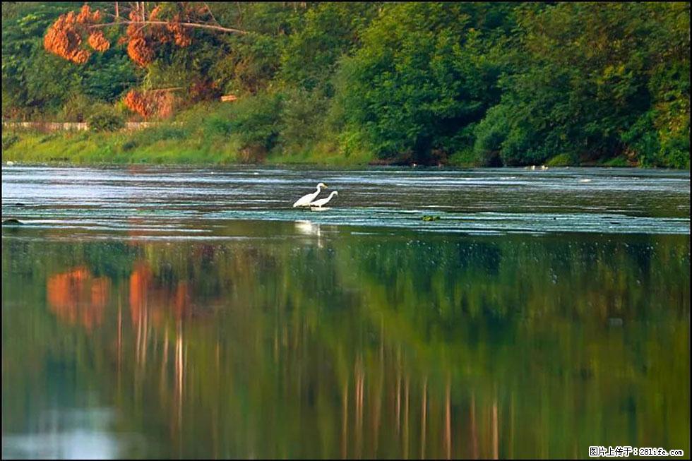 【春天,广西桂林灌阳县向您发出邀请!】熊家寨湿地公园 - 游山玩水 - 克孜勒苏生活社区 - 克孜勒苏28生活网 kzls.28life.com