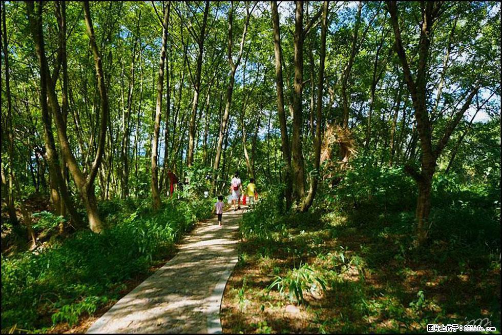 【春天,广西桂林灌阳县向您发出邀请!】熊家寨湿地公园 - 游山玩水 - 克孜勒苏生活社区 - 克孜勒苏28生活网 kzls.28life.com