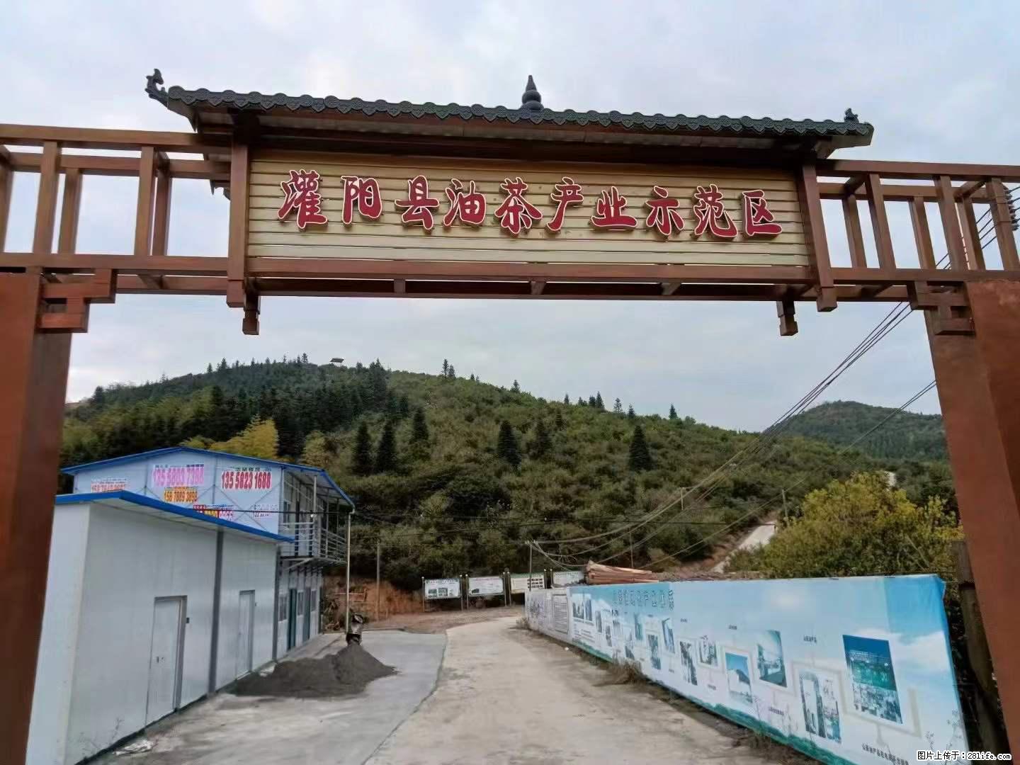 【灌阳县油茶产业示范区】一个有着充实的精神生活的人，对待身外之物自会有一种淡泊的态度 - 美食天地 - 克孜勒苏生活社区 - 克孜勒苏28生活网 kzls.28life.com