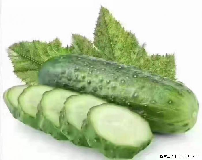 【生活小常识】吃黄瓜的好处 - 生活百科 - 克孜勒苏生活社区 - 克孜勒苏28生活网 kzls.28life.com