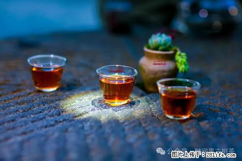 时间果百年古树2025年春红茶 - 购物交流 - 克孜勒苏生活社区 - 克孜勒苏28生活网 kzls.28life.com