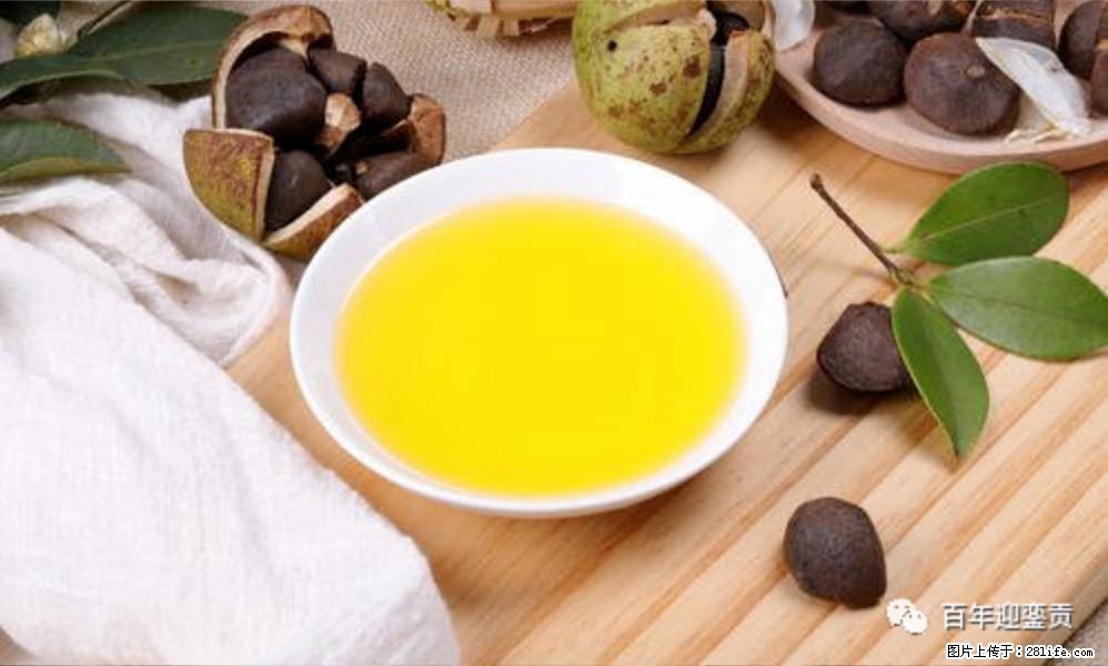 揭秘茶油的5大核心营养成分!被称为人体健康的“守护盾”! - 克孜勒苏生活资讯 - 克孜勒苏28生活网 kzls.28life.com