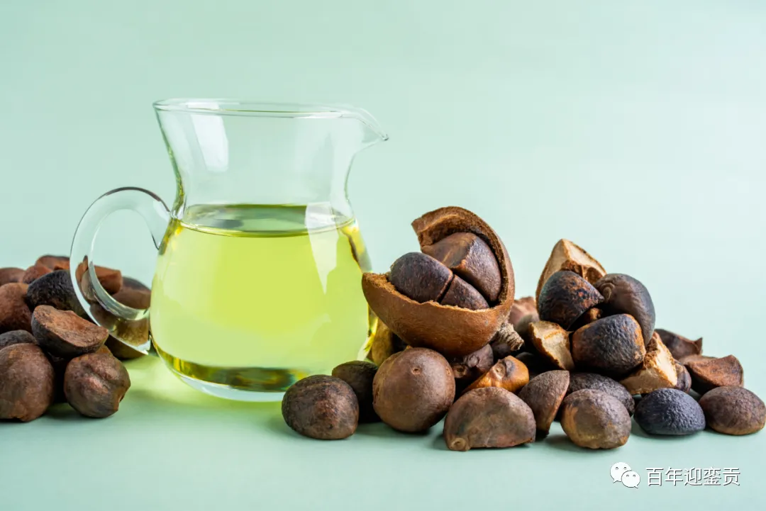 世界没有真相，只有认知，最好的食用油是中国的山茶油！ - 克孜勒苏生活资讯 - 克孜勒苏28生活网 kzls.28life.com