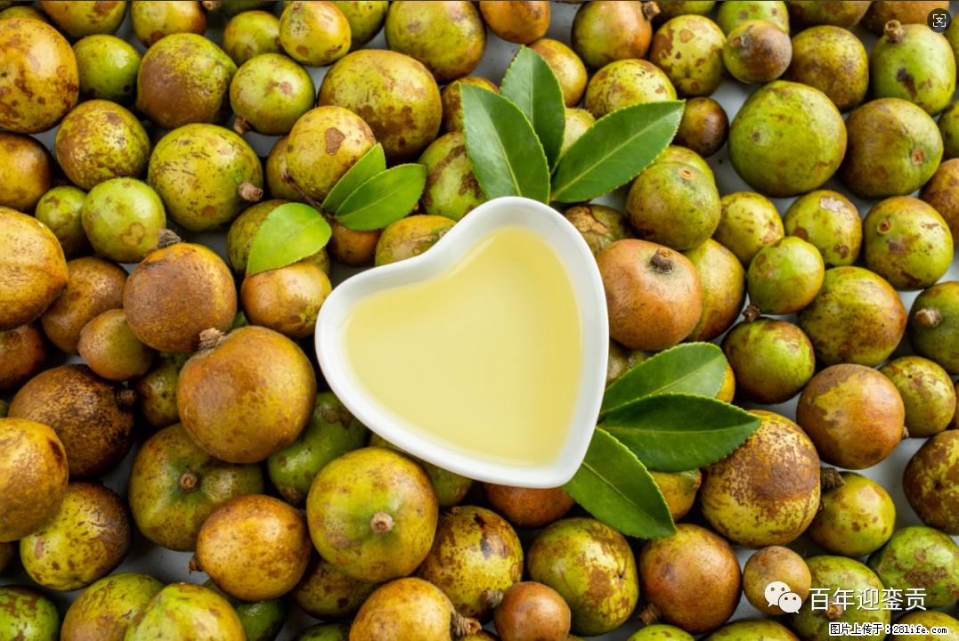 世界没有真相，只有认知，最好的食用油是中国的山茶油！ - 克孜勒苏生活资讯 - 克孜勒苏28生活网 kzls.28life.com