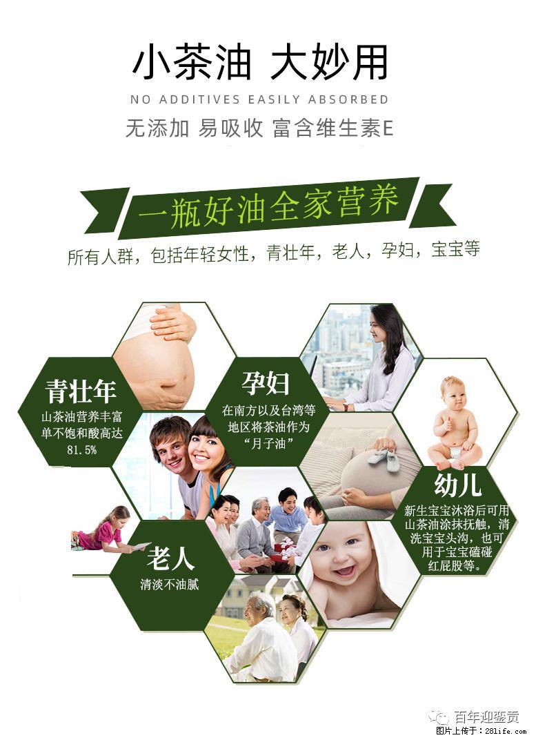 世界没有真相，只有认知，最好的食用油是中国的山茶油！ - 克孜勒苏生活资讯 - 克孜勒苏28生活网 kzls.28life.com