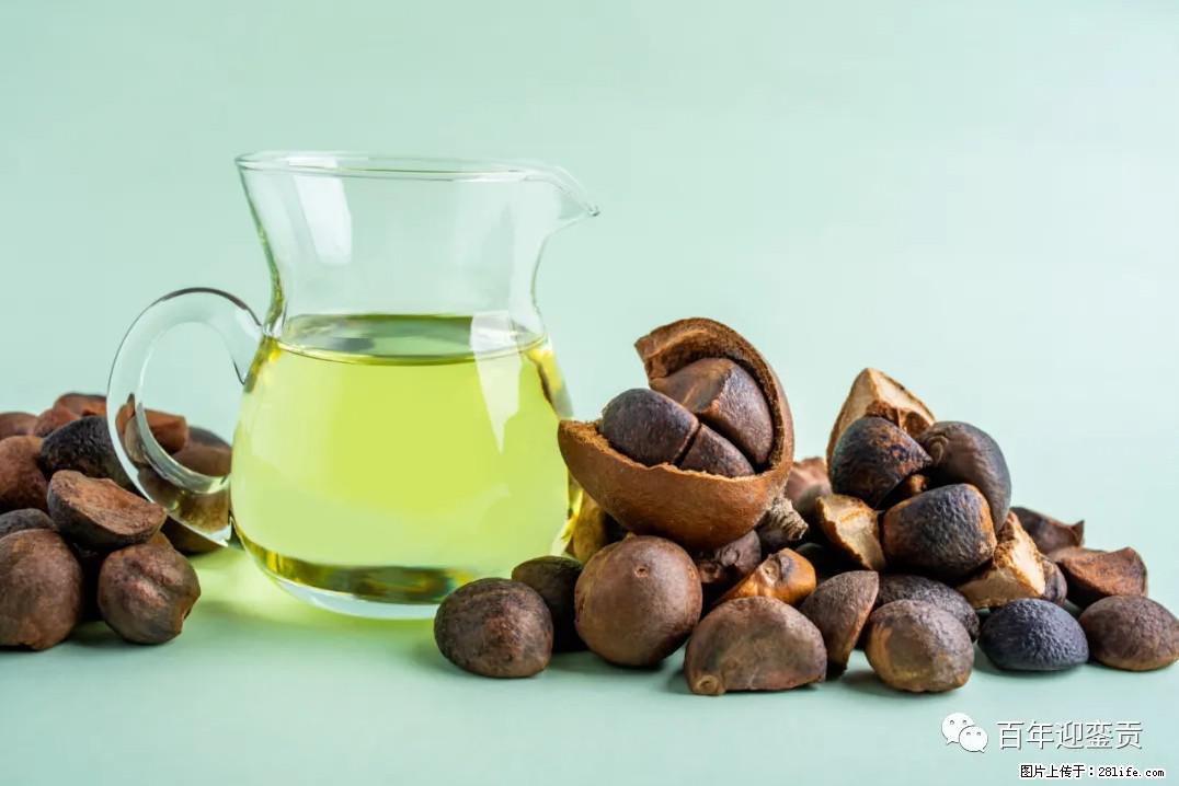 世界没有真相，只有认知，最好的食用油是中国的山茶油！ - 克孜勒苏生活资讯 - 克孜勒苏28生活网 kzls.28life.com