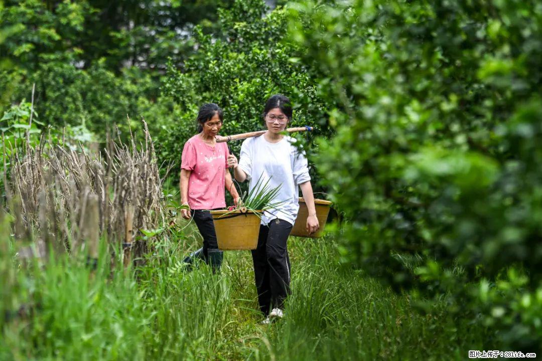 全网追的“扁担女孩”,找了一份暑假工,时薪12元 - 克孜勒苏生活资讯 - 克孜勒苏28生活网 kzls.28life.com