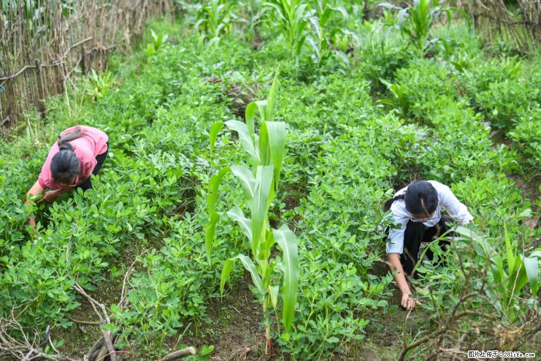 全网追的“扁担女孩”,找了一份暑假工,时薪12元 - 克孜勒苏生活资讯 - 克孜勒苏28生活网 kzls.28life.com