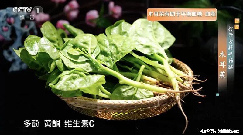比牛奶补钙还厉害！凉血解毒、稳血糖...这菜冬天必吃，很多人却当草 - 克孜勒苏生活资讯 - 克孜勒苏28生活网 kzls.28life.com