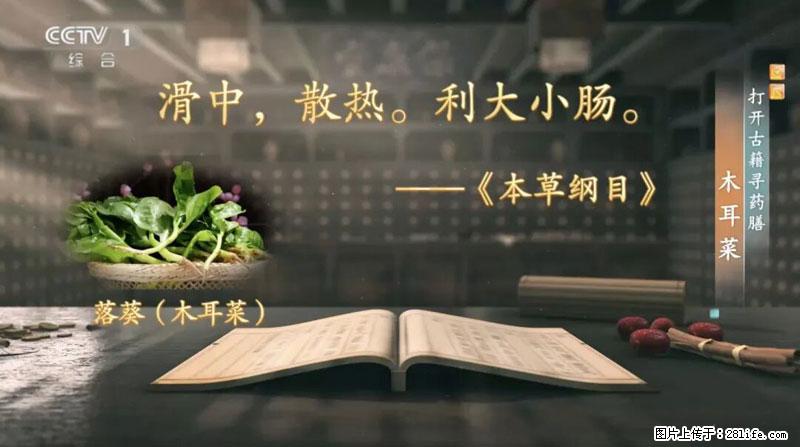 比牛奶补钙还厉害！凉血解毒、稳血糖...这菜冬天必吃，很多人却当草 - 克孜勒苏生活资讯 - 克孜勒苏28生活网 kzls.28life.com