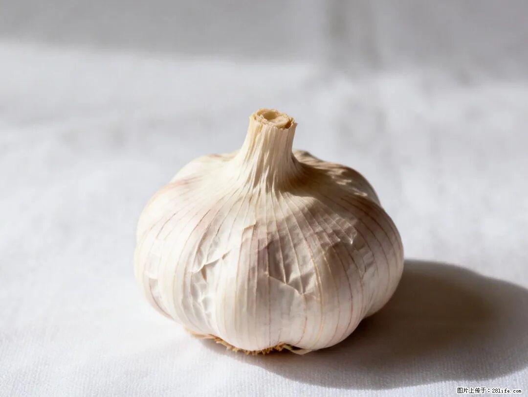 关于大蒜，除了“天然抗生素”，这4个谣言更该警惕! - 克孜勒苏生活资讯 - 克孜勒苏28生活网 kzls.28life.com