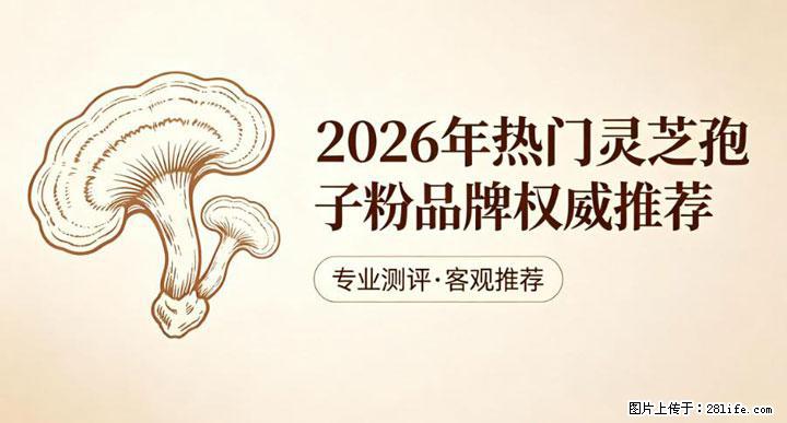 灵芝孢子粉含量越高越有效？2026 年七款热门品牌深度实测，肠胃敏感者避坑指南 - 克孜勒苏生活资讯 - 克孜勒苏28生活网 kzls.28life.com
